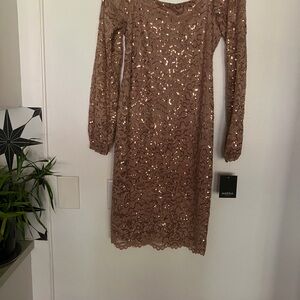 MARINA Sequined Lace Long-Sleeve Dress in Taupe
